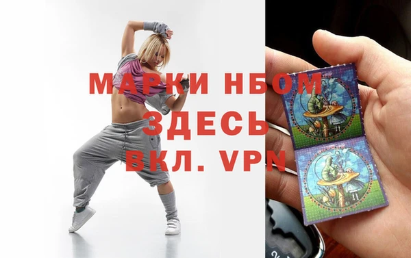 гашик Ельня