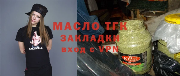 гашик Ельня