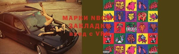индика Елизово