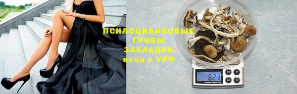 индика Елизово