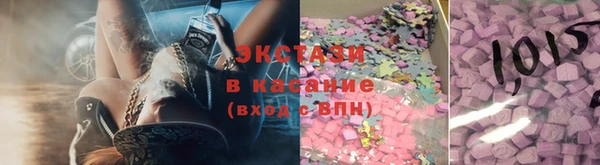 индика Елизово