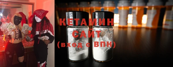 гашик Ельня