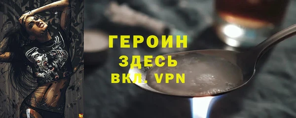 гашик Ельня