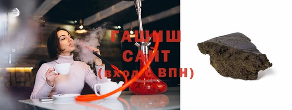 индика Елизово