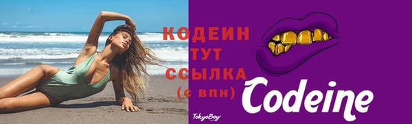гашик Ельня