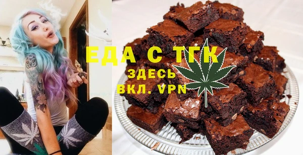 индика Елизово