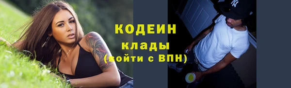 индика Елизово