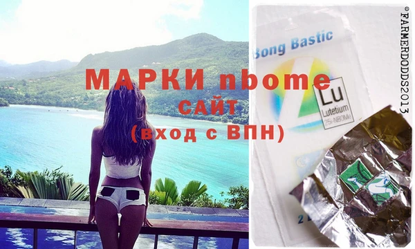 индика Елизово