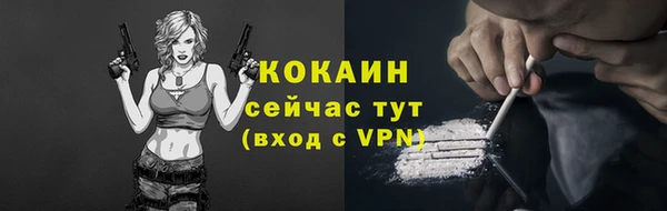 гашик Ельня