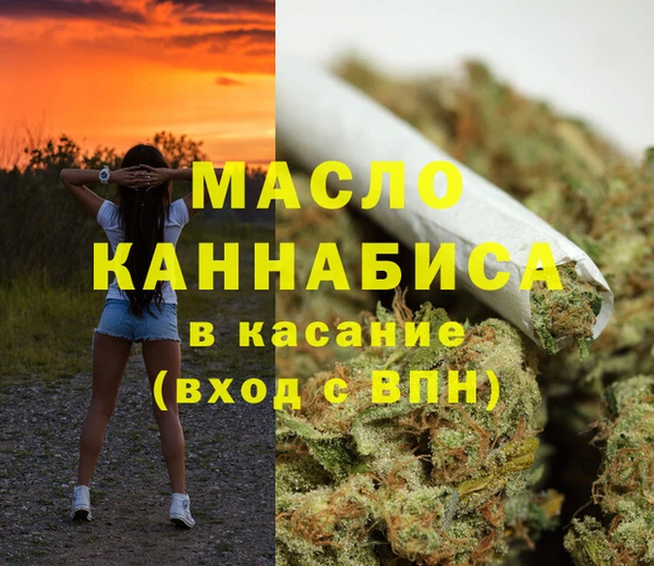 индика Елизово