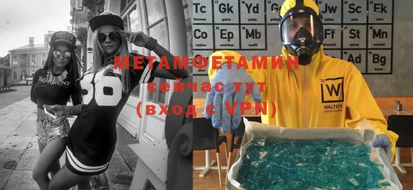 индика Елизово