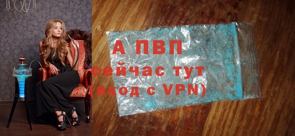 индика Елизово