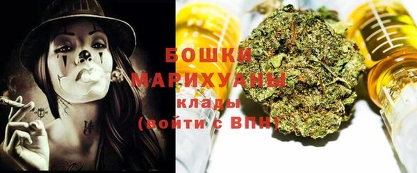 индика Елизово