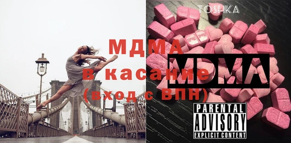 индика Елизово