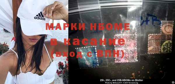 гашик Ельня