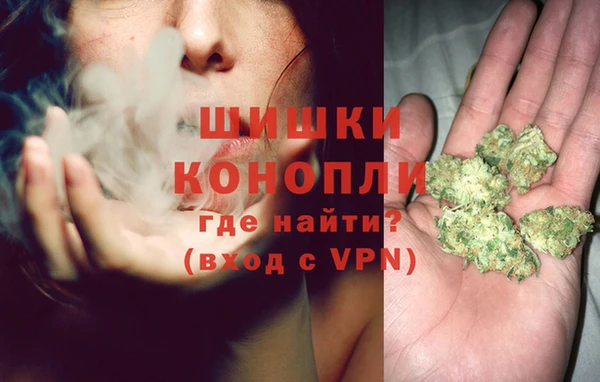 гашик Ельня