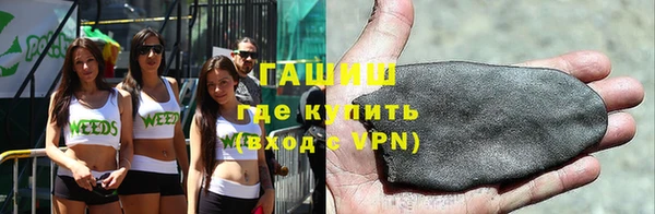 индика Елизово