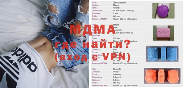гашик Ельня