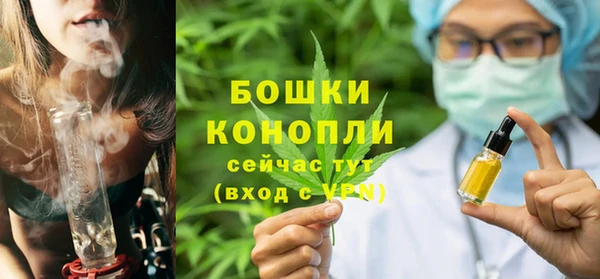 гашик Ельня