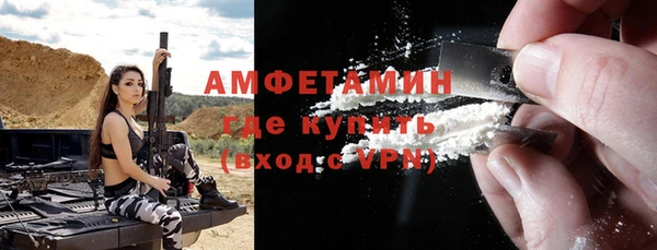 гашик Ельня